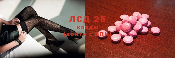 сатива Алзамай