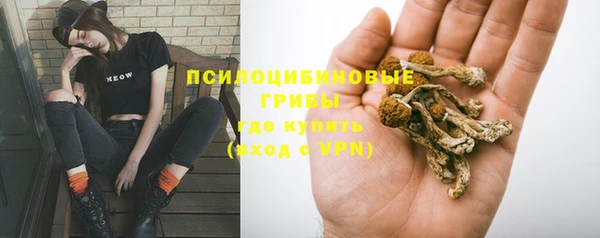 бутират Алексин