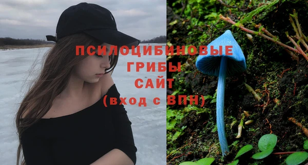 эйфоретик Алексеевка