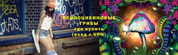 сатива Алзамай