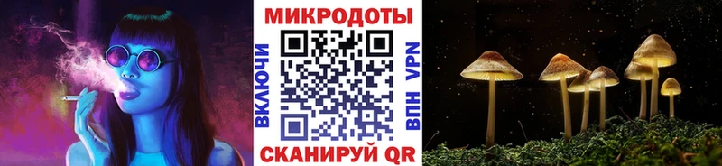 Галлюциногенные грибы MAGIC MUSHROOMS  где продают наркотики  Борзя 